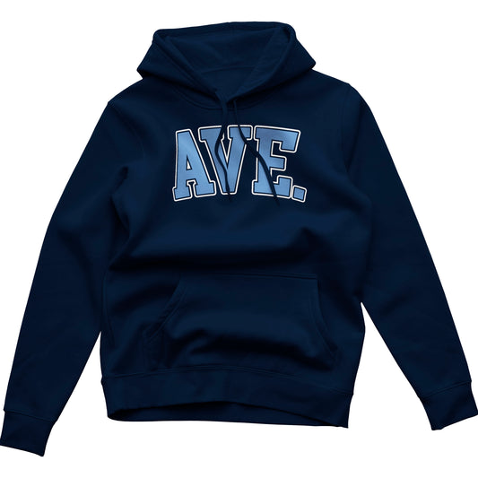 COLLEGIATE OUTLINE HOODIE (NAVY/COLUMBIA BLUE)