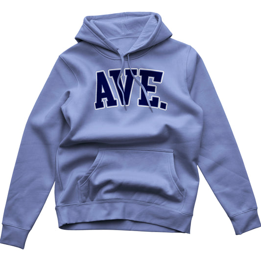 COLLEGIATE OUTLINE HOODIE (COLUMBIA BLUE/NAVY)