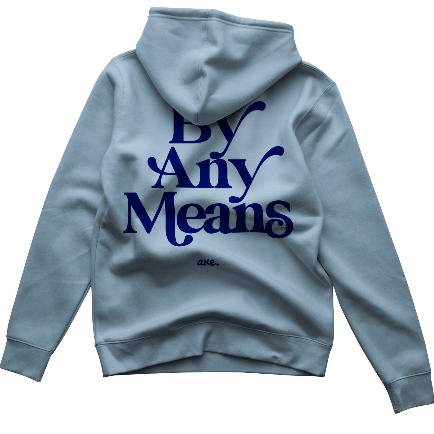 FOR THE WIN BY ANY MEANS HOODIE (POWDER/NAVY)