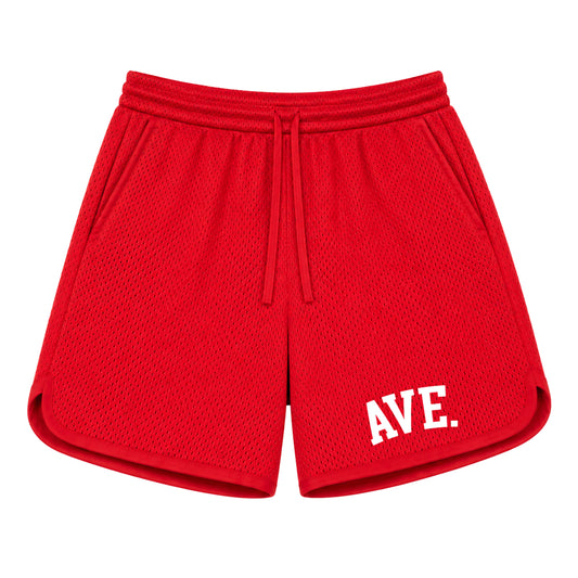 COLLEGIATE MESH SHORTS (RED)