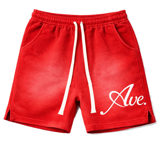 SUN DRIED LUX LOGO SHORTS (RED)